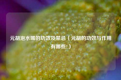 元胡泡水喝的功效及禁忌（元胡的功效与作用有哪些?）