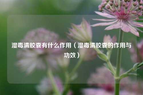 湿毒清胶囊有什么作用（湿毒清胶囊的作用与功效）