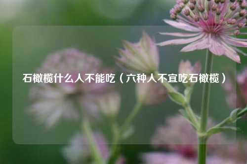 石橄榄什么人不能吃（六种人不宜吃石橄榄）