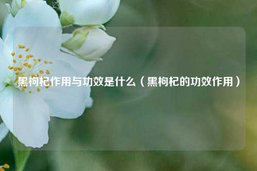 黑枸杞作用与功效是什么（黑枸杞的功效作用）