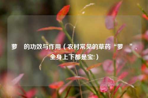 萝藦的功效与作用（农村常见的草药“萝藦”,全身上下都是宝!）