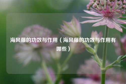 海风藤的功效与作用（海风藤的功效与作用有哪些）