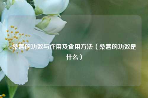 桑葚的功效与作用及食用方法（桑葚的功效是什么）