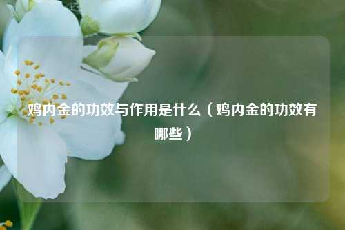 鸡内金的功效与作用是什么（鸡内金的功效有哪些）