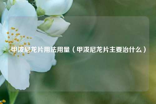 甲泼尼龙片用法用量（甲泼尼龙片主要治什么）