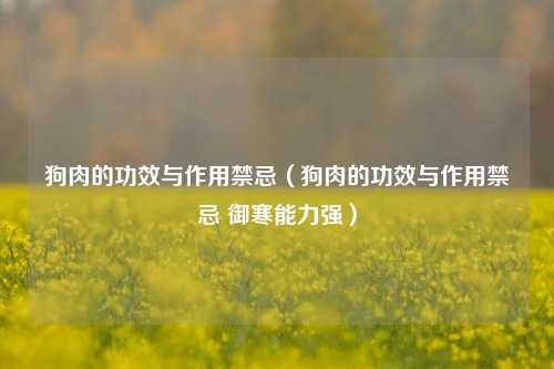 狗肉的功效与作用禁忌（狗肉的功效与作用禁忌 御寒能力强）