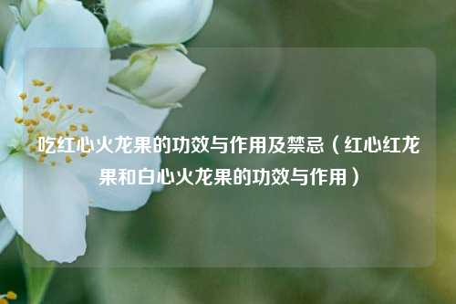 吃红心火龙果的功效与作用及禁忌（红心红龙果和白心火龙果的功效与作用）