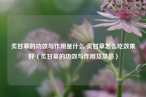 炙甘草的功效与作用是什么 炙甘草怎么吃效果好（炙甘草的功效与作用及禁忌）