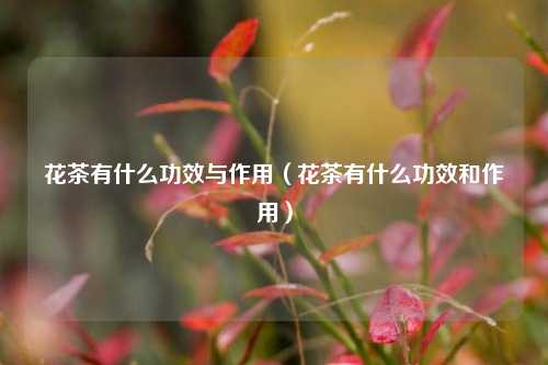 花茶有什么功效与作用（花茶有什么功效和作用）