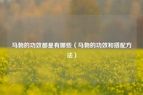 马勃的功效都是有哪些（马勃的功效和搭配方法）