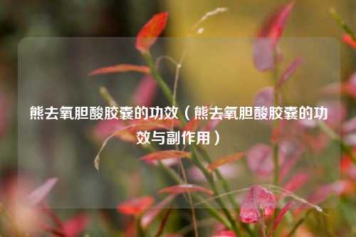 熊去氧胆酸胶囊的功效（熊去氧胆酸胶囊的功效与副作用）