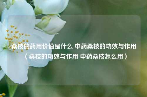 桑枝的药用价值是什么 中药桑枝的功效与作用（桑枝的功效与作用 中药桑枝怎么用）