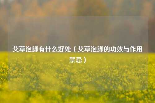 艾草泡脚有什么好处（艾草泡脚的功效与作用禁忌）