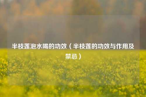 半枝莲泡水喝的功效（半枝莲的功效与作用及禁忌）