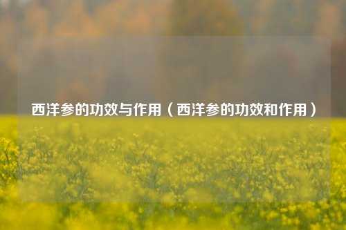 西洋参的功效与作用（西洋参的功效和作用）