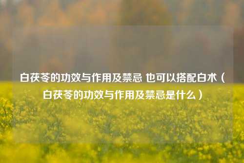 白茯苓的功效与作用及禁忌 也可以搭配白术（白茯苓的功效与作用及禁忌是什么）