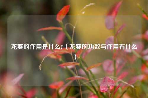 龙葵的作用是什么?（龙葵的功效与作用有什么）