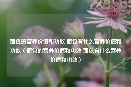面包的营养价值和功效 面包有什么营养价值和功效（面包的营养价值和功效 面包有什么营养价值和功效）