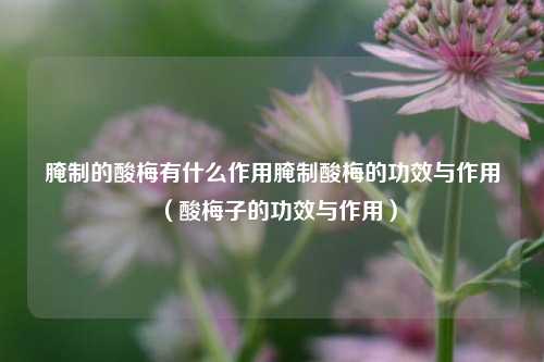 腌制的酸梅有什么作用腌制酸梅的功效与作用（酸梅子的功效与作用）