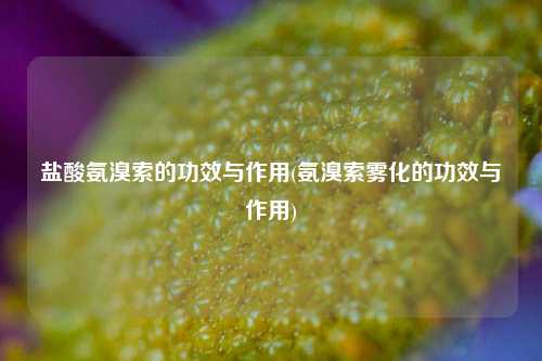 盐酸氨溴索的功效与作用(氨溴索雾化的功效与作用)