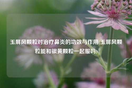 玉屏风颗粒对治疗鼻炎的功效与作用(玉屏风颗粒能和银黄颗粒一起服吗)
