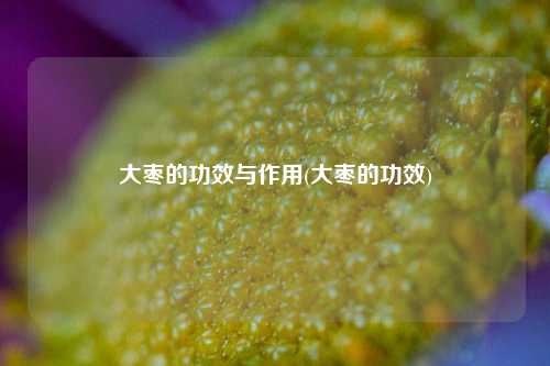 大枣的功效与作用(大枣的功效)