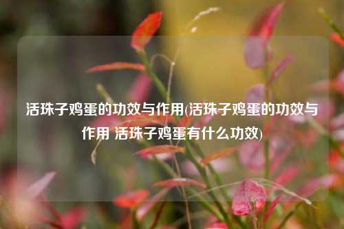 活珠子鸡蛋的功效与作用(活珠子鸡蛋的功效与作用 活珠子鸡蛋有什么功效)