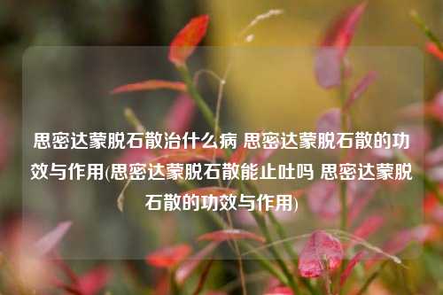 思密达蒙脱石散治什么病 思密达蒙脱石散的功效与作用(思密达蒙脱石散能止吐吗 思密达蒙脱石散的功效与作用)