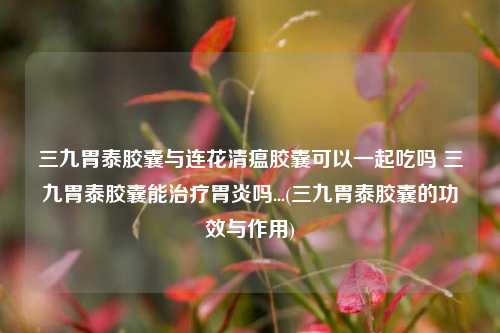 三九胃泰胶囊与连花清瘟胶囊可以一起吃吗 三九胃泰胶囊能治疗胃炎吗...(三九胃泰胶囊的功效与作用)