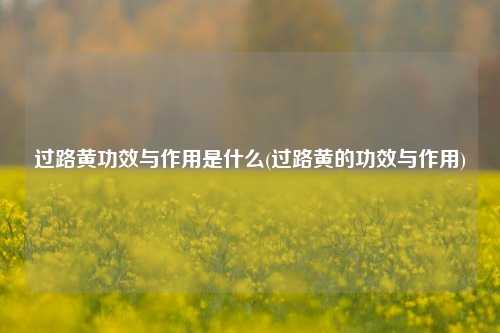 过路黄功效与作用是什么(过路黄的功效与作用)