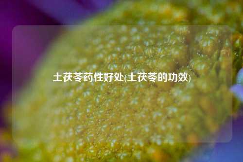 土茯苓药性好处(土茯苓的功效)