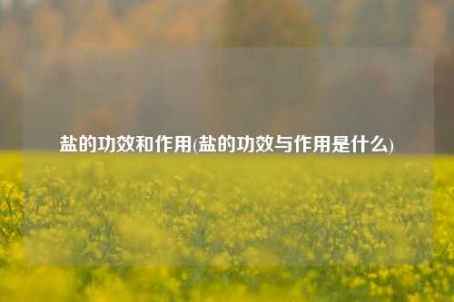 盐的功效和作用(盐的功效与作用是什么)