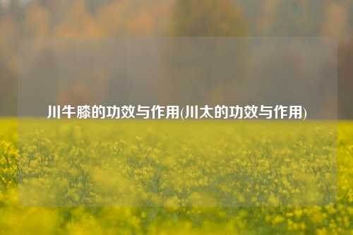 川牛膝的功效与作用(川太的功效与作用)