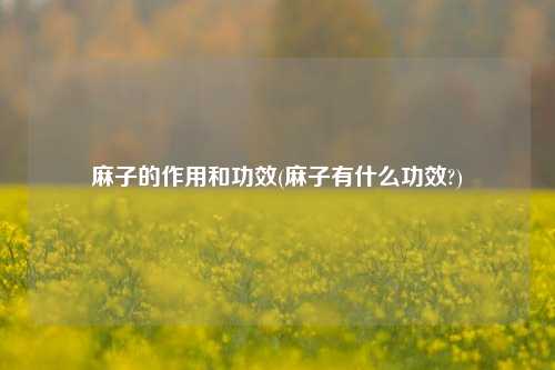 麻子的作用和功效(麻子有什么功效?)
