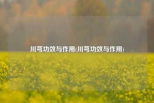 川芎功效与作用(川芎功效与作用)