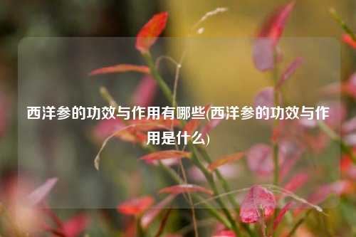 西洋参的功效与作用有哪些(西洋参的功效与作用是什么)