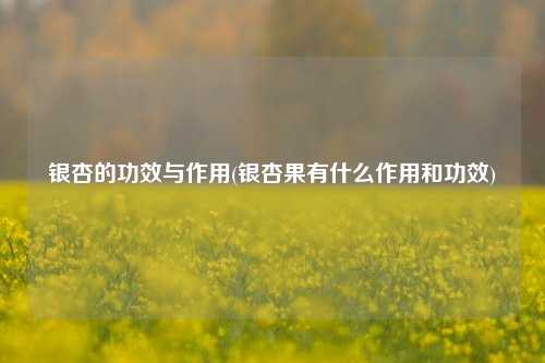 银杏的功效与作用(银杏果有什么作用和功效)