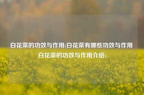 白花菜的功效与作用(白花菜有哪些功效与作用 白花菜的功效与作用介绍)
