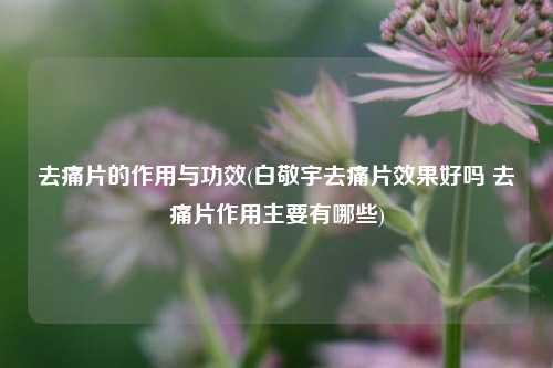 去痛片的作用与功效(白敬宇去痛片效果好吗 去痛片作用主要有哪些)