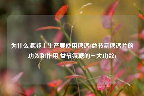 为什么混凝土生产要使用糖钙(益节氨糖钙片的功效和作用 益节氨糖的三大功效)