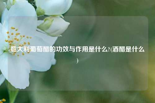 意大利葡萄醋的功效与作用是什么?(酒醋是什么)