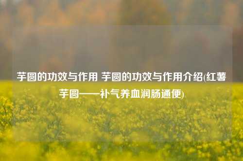 芋圆的功效与作用 芋圆的功效与作用介绍(红薯芋圆——补气养血润肠通便)