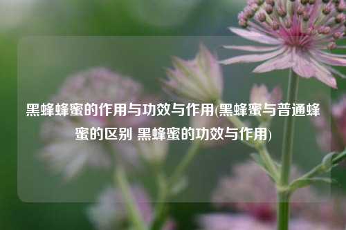 黑蜂蜂蜜的作用与功效与作用(黑蜂蜜与普通蜂蜜的区别 黑蜂蜜的功效与作用)