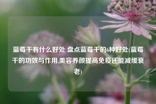 蓝莓干有什么好处 盘点蓝莓干的6种好处(蓝莓干的功效与作用,美容养颜提高免疫还能减缓衰老)