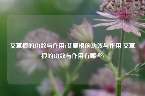 艾草根的功效与作用(艾草根的功效与作用 艾草根的功效与作用有哪些)