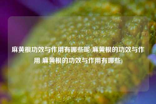 麻黄根功效与作用有哪些呢(麻黄根的功效与作用 麻黄根的功效与作用有哪些)