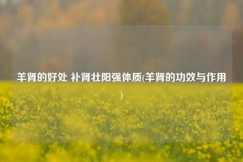 羊肾的好处 补肾壮阳强体质(羊肾的功效与作用)