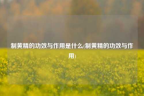 制黄精的功效与作用是什么(制黄精的功效与作用)