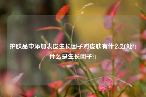 护肤品中添加表皮生长因子对皮肤有什么好处?(什么是生长因子?)