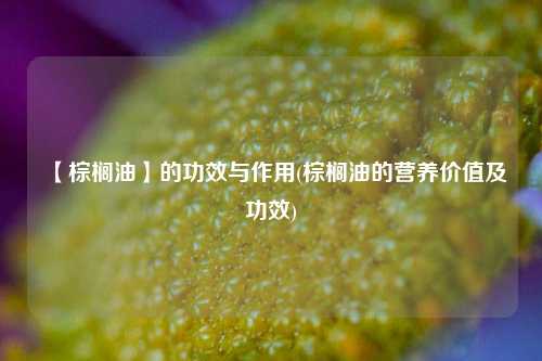【棕榈油】的功效与作用(棕榈油的营养价值及功效)